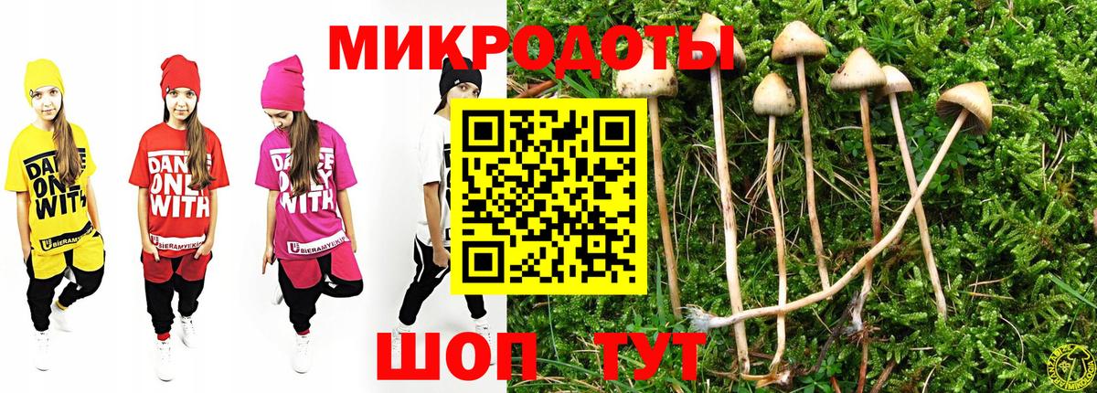 наркота  Галлюциногенные грибы Psilocybine cubensis  Вход с VPN  Псилоцибиновые грибы Psilocybine cubensis  Волоколамск 