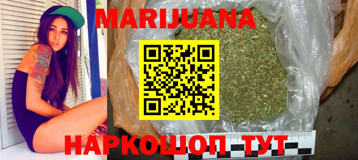 Канабис сатива Волоколамск